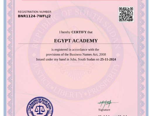 Egypt Academy